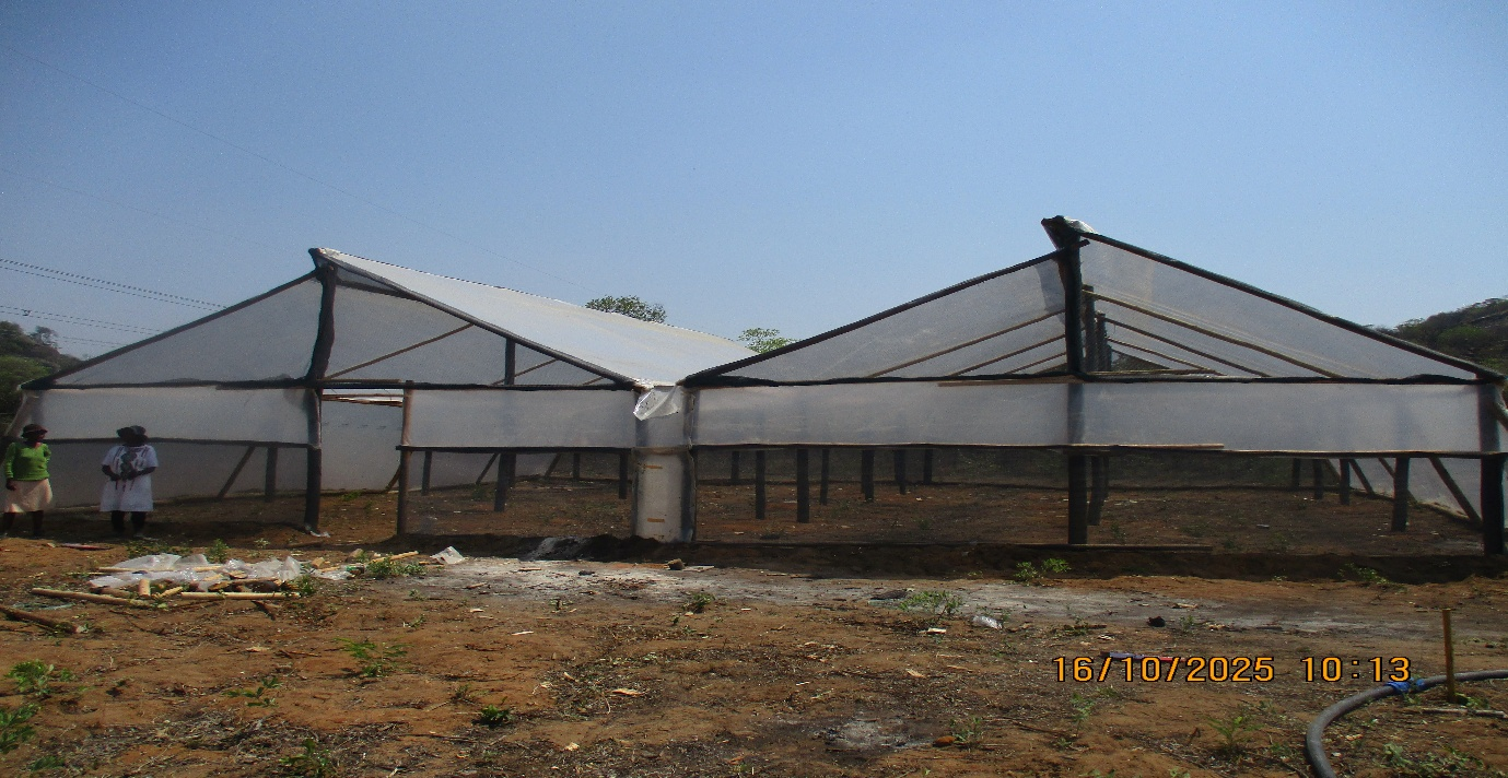 Mazhayimbe Seedling Centre